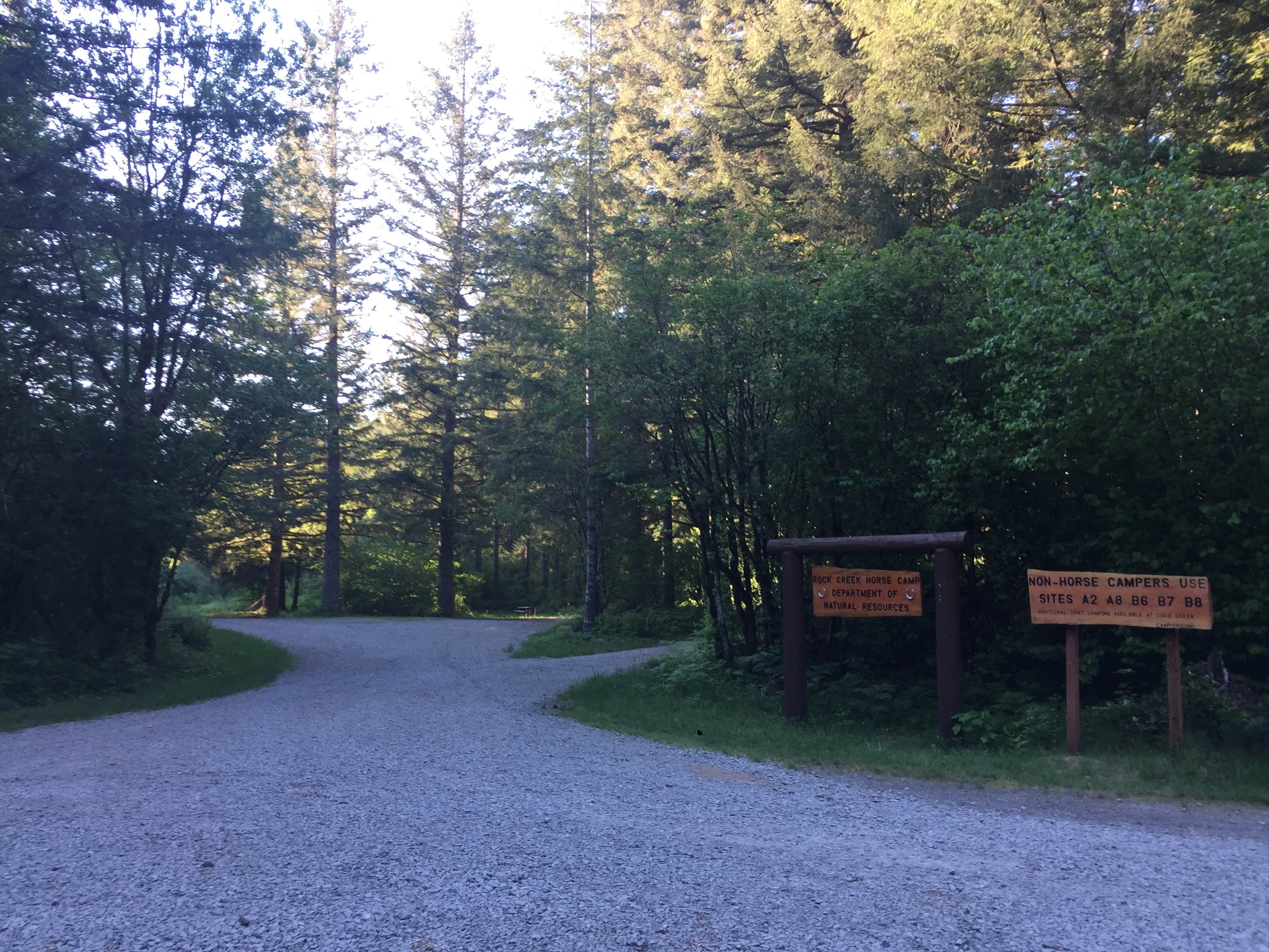 Escape to Idaho's Gem: Washington Creek Campground