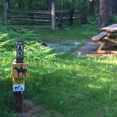 Review photo of Rock Creek Campground — Okanogan Wenatchee National Forest by Bjorn S., May 30, 2018