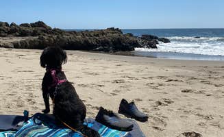 Joseph's photo of camping with pets at Canyon Campground — Leo Carrillo State Park Campground near Santa Monica, CA
