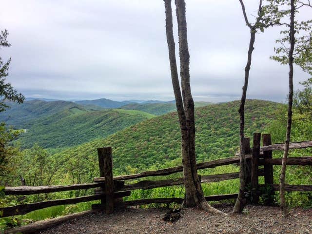 Camper-submitted photo at Elk Knob State Park Campground near Glade Spring, VA