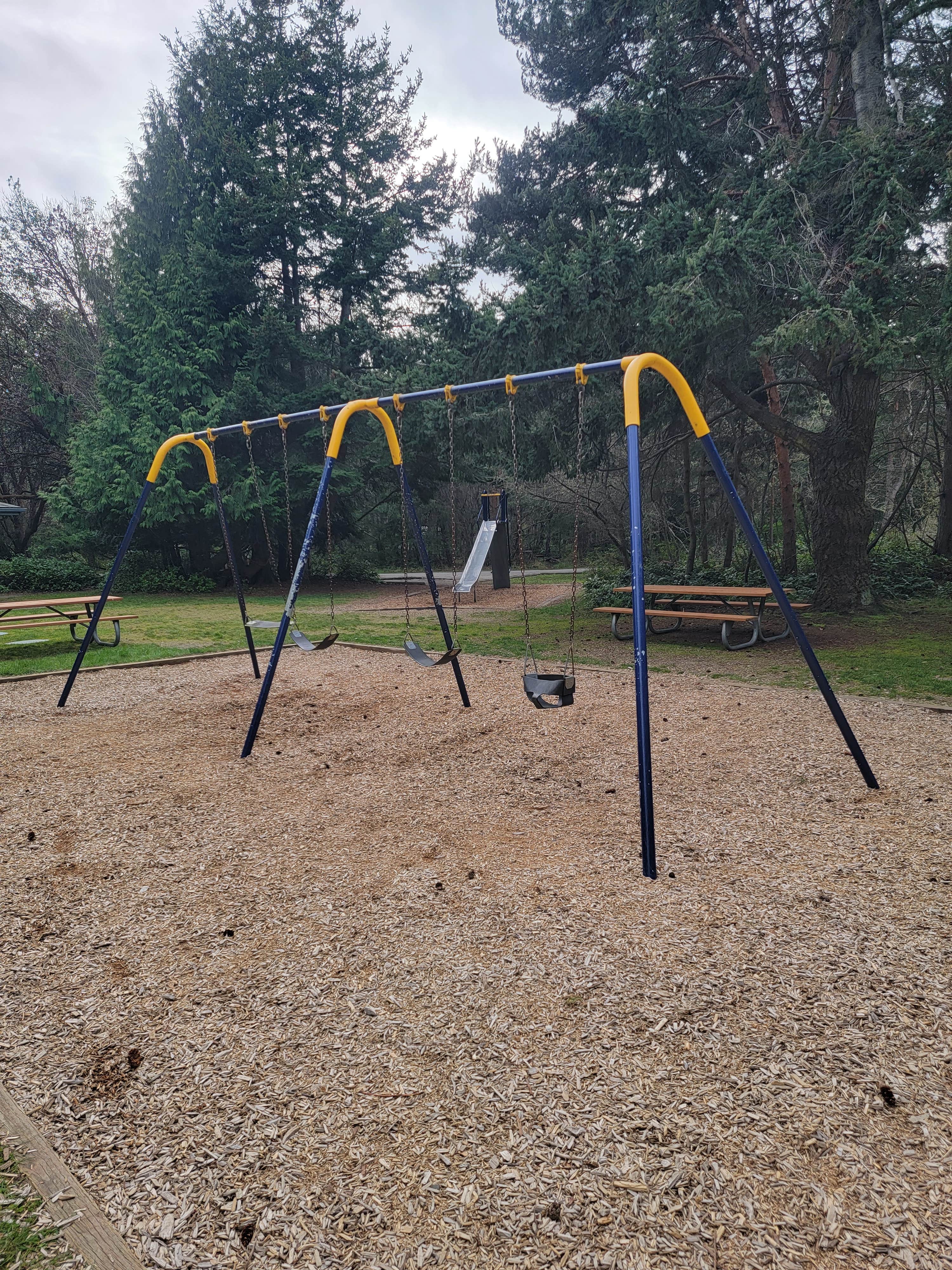 Camper-submitted photo at Dungeness Recreation Area Clallam County Park near Carlsborg, WA