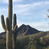 Review photo of Twin Peaks Campground — Organ Pipe Cactus National Monument by Rick G., March 24, 2021