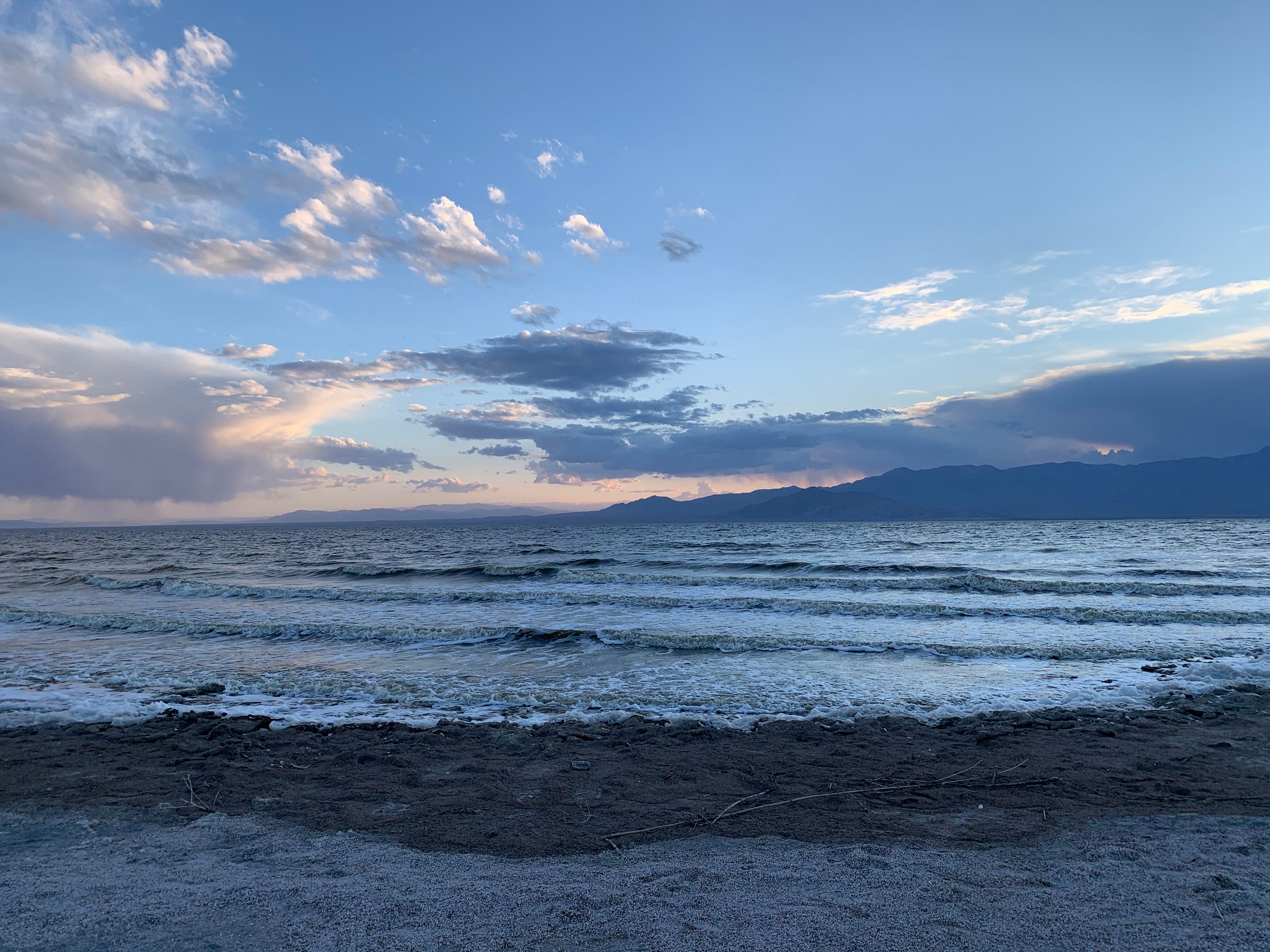 Camper submitted image from Corvina Beach Campground — Salton Sea State Recreation Area - 2