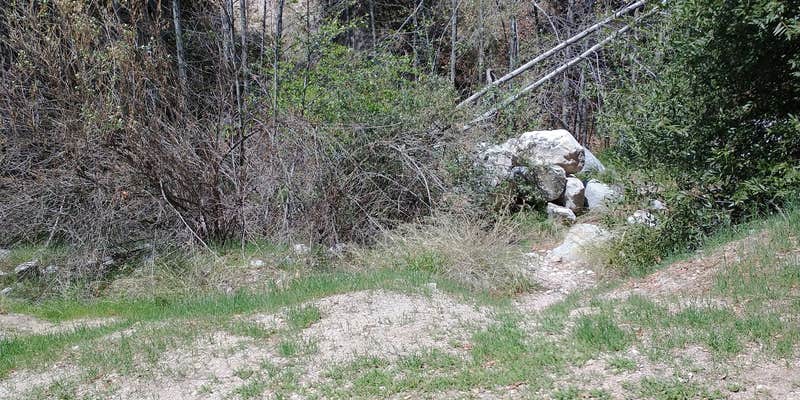 Camper submitted image from Millard Trail Campground