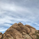 Review photo of Indian Cove Campground — Joshua Tree National Park by Jason H., March 24, 2021