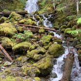 Review photo of Lena Lake Campground by Jason H., March 24, 2021