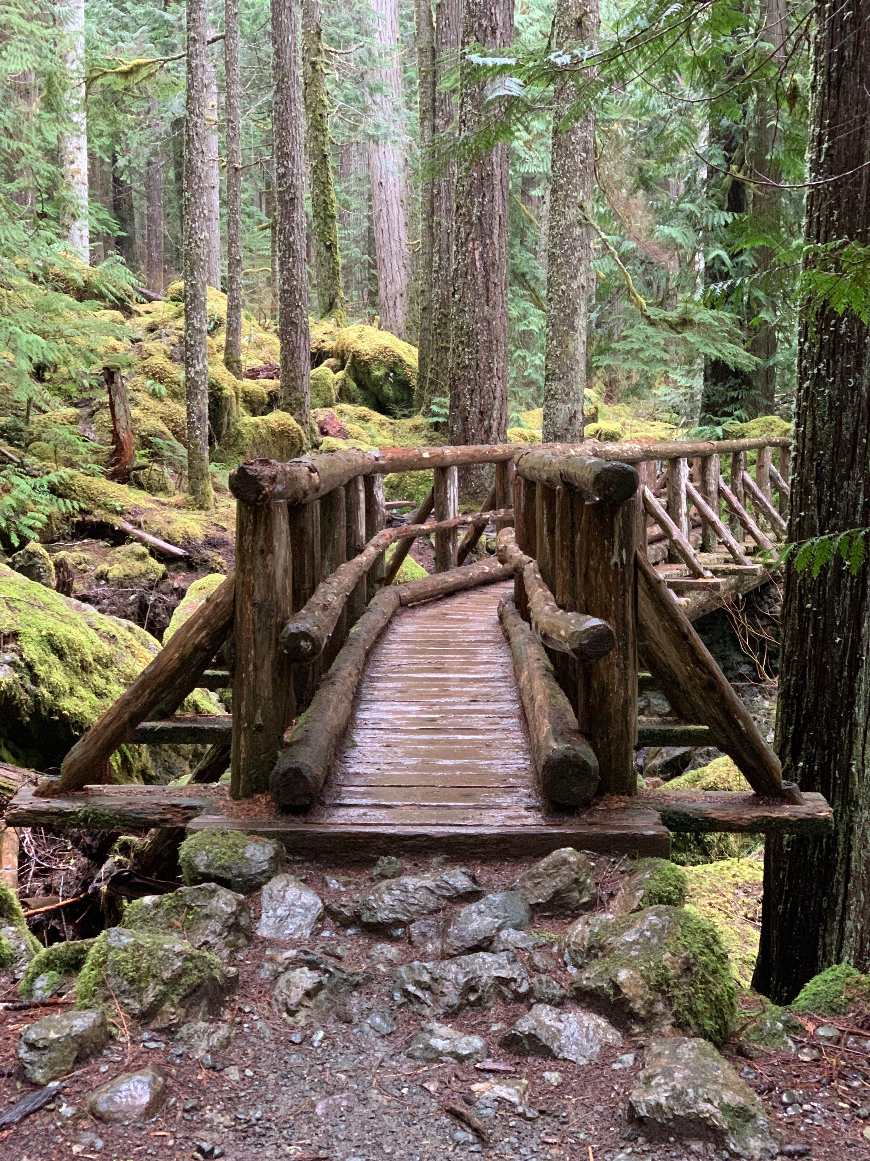 Camper submitted image from Lena Lake Campground - 2