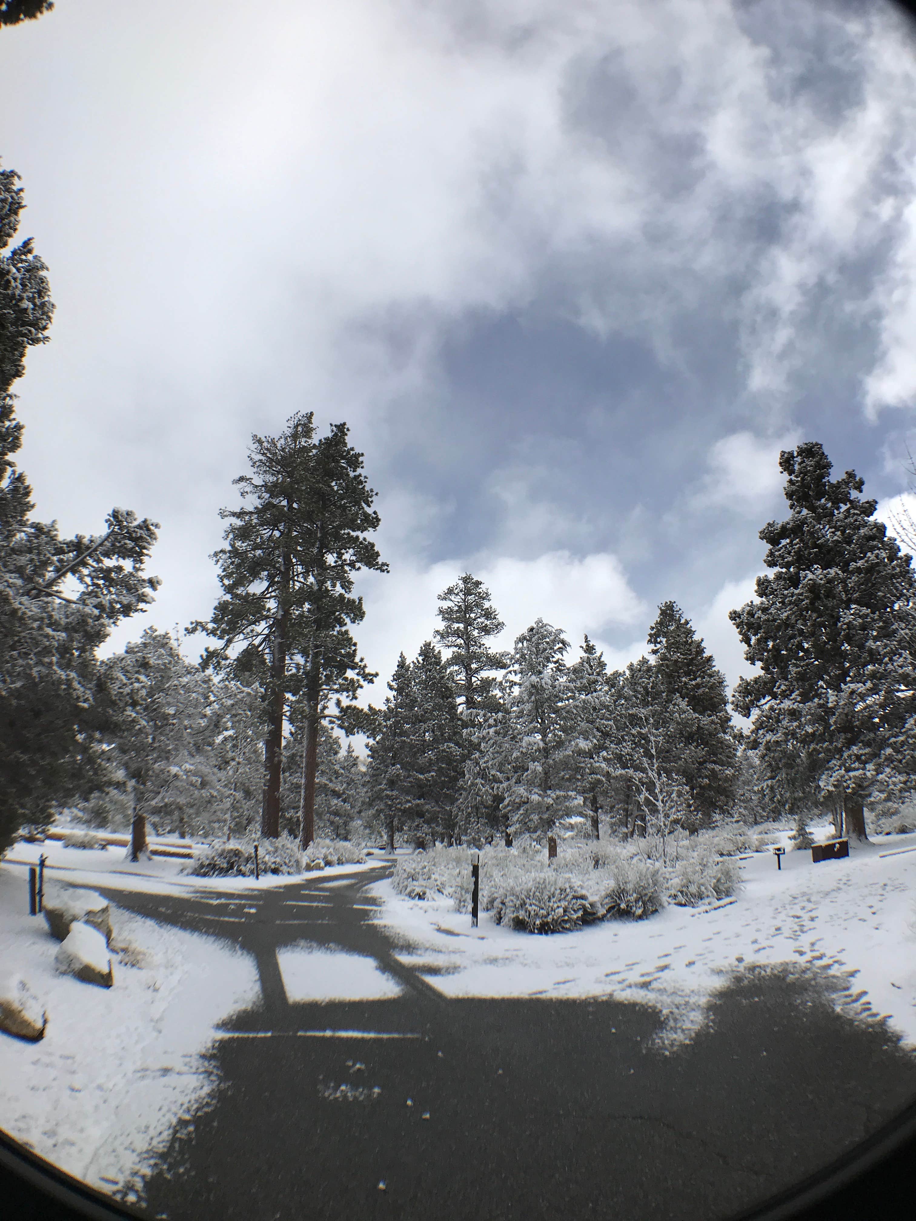 Camping near Big Pine Flat Campground: Serrano, Big Bear Lake, California