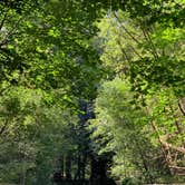 Review photo of Mill Creek Campground — Del Norte Coast Redwoods State Park by Jason H., March 24, 2021