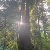 Review photo of Mill Creek Campground — Del Norte Coast Redwoods State Park by Jason H., March 24, 2021