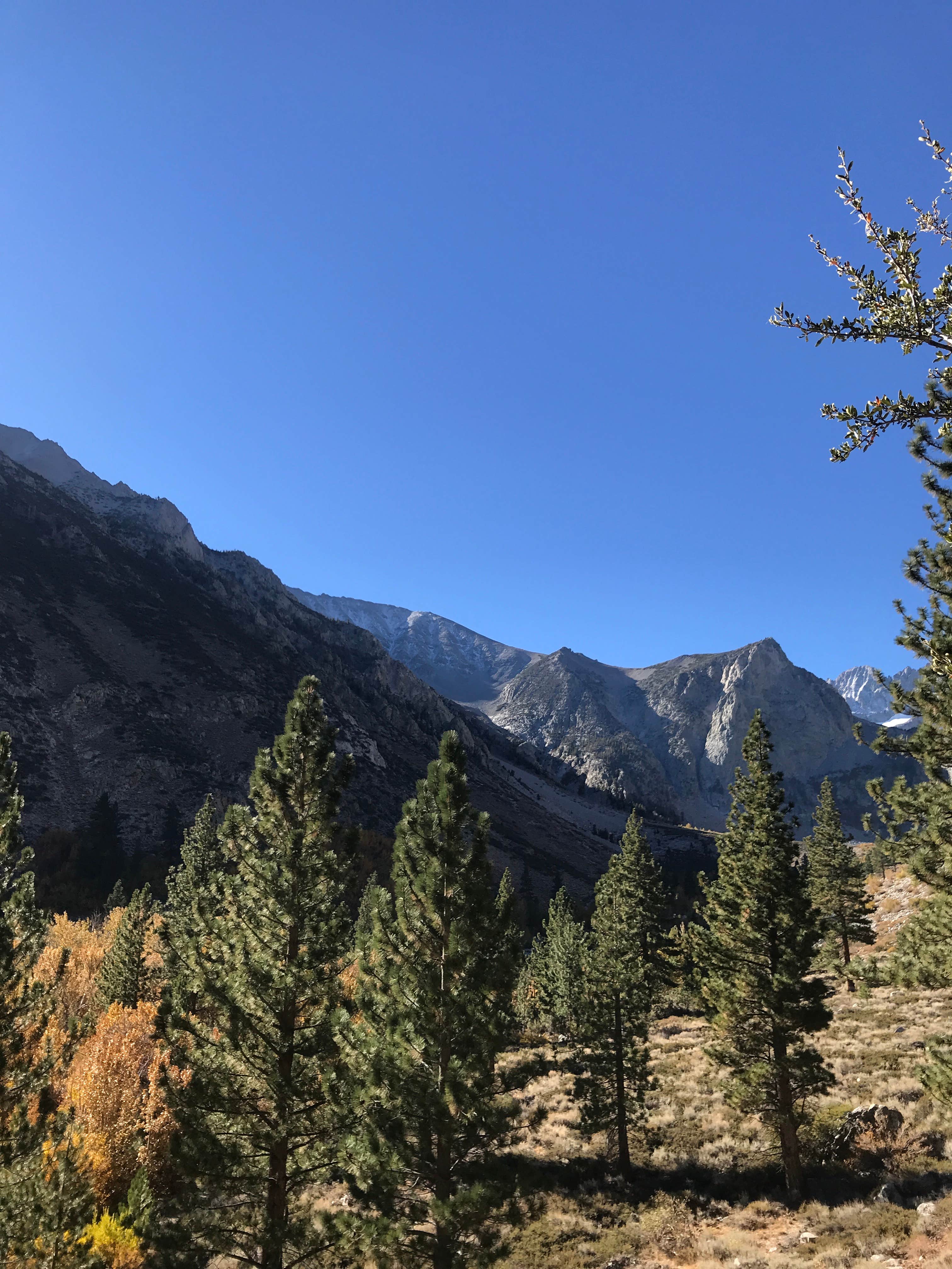 Big Pine Creek Campground The Dyrt   California Big Pine Creek Campground F10ab0e6 893b 4a84 8ce6 479b3ac62816 