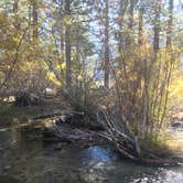 Review photo of Big Pine Creek Campground by Jason H., March 24, 2021