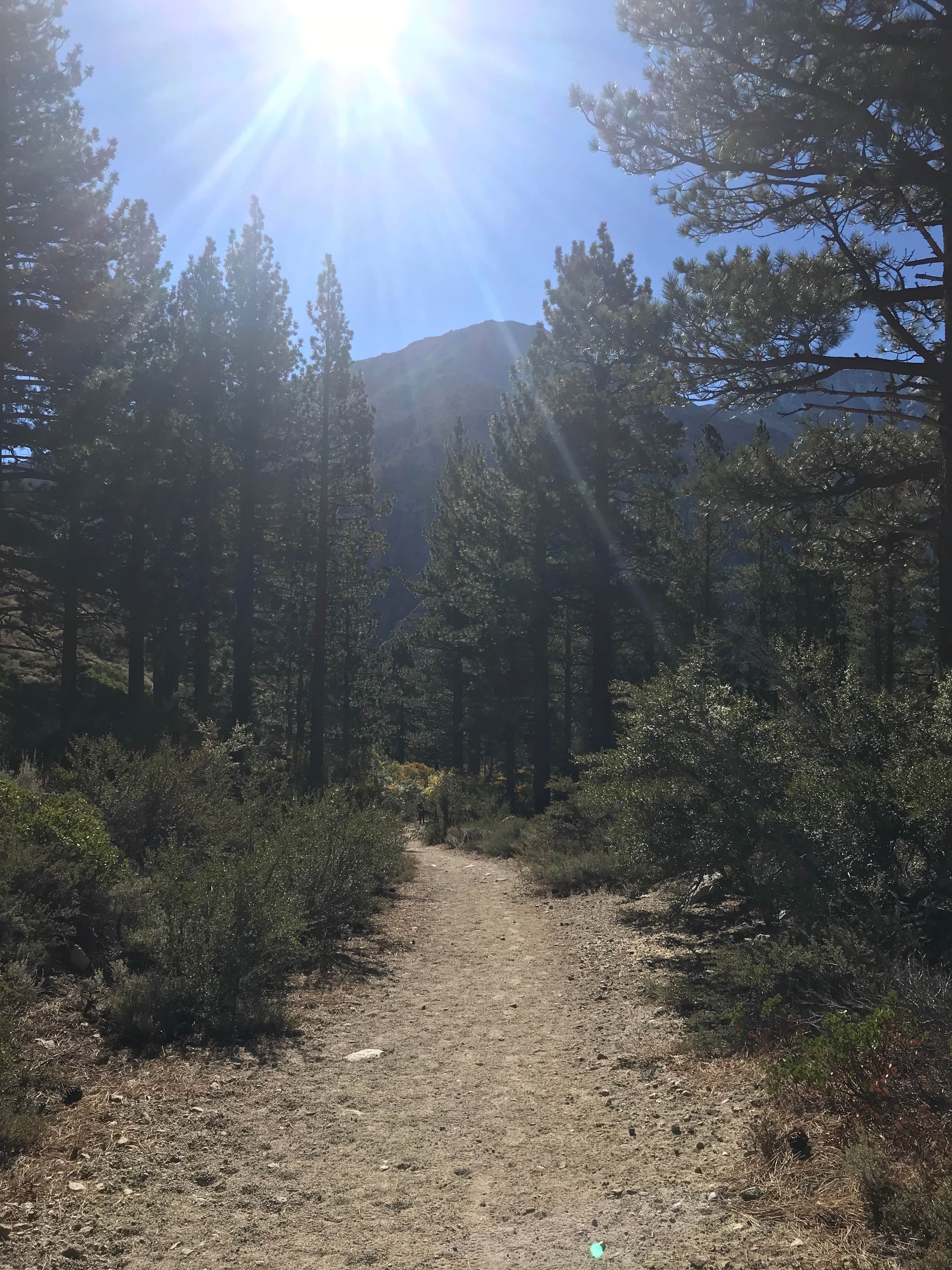 Big Pine Creek Campground The Dyrt