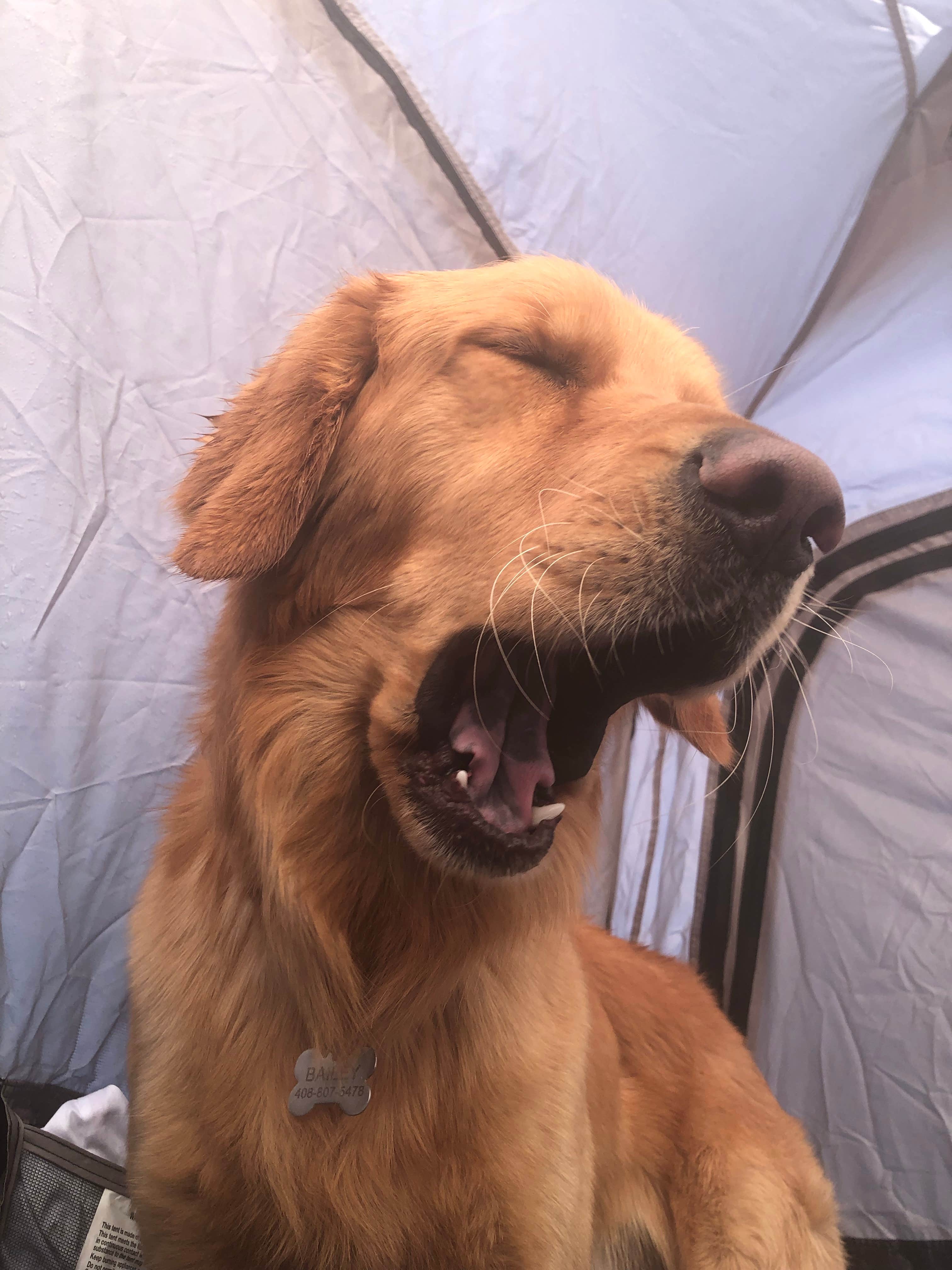 Camper-submitted photo at Glacier View Campground near Independence, CA