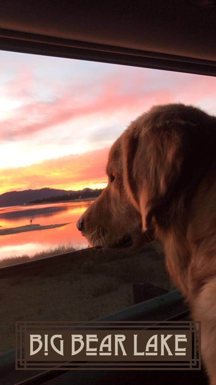 Jason H.'s photo of camping with pets at Serrano near Big Bear Lake, CA