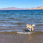 Review photo of Callville Bay NPS Campground by Dilsah T., March 24, 2021