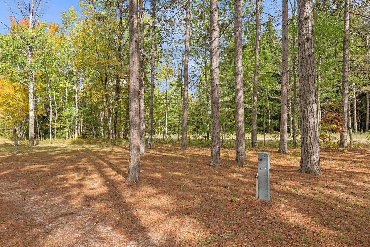 Camper-submitted photo at Manton Trails RV Park, Hotel & Campground near South Boardman, MI