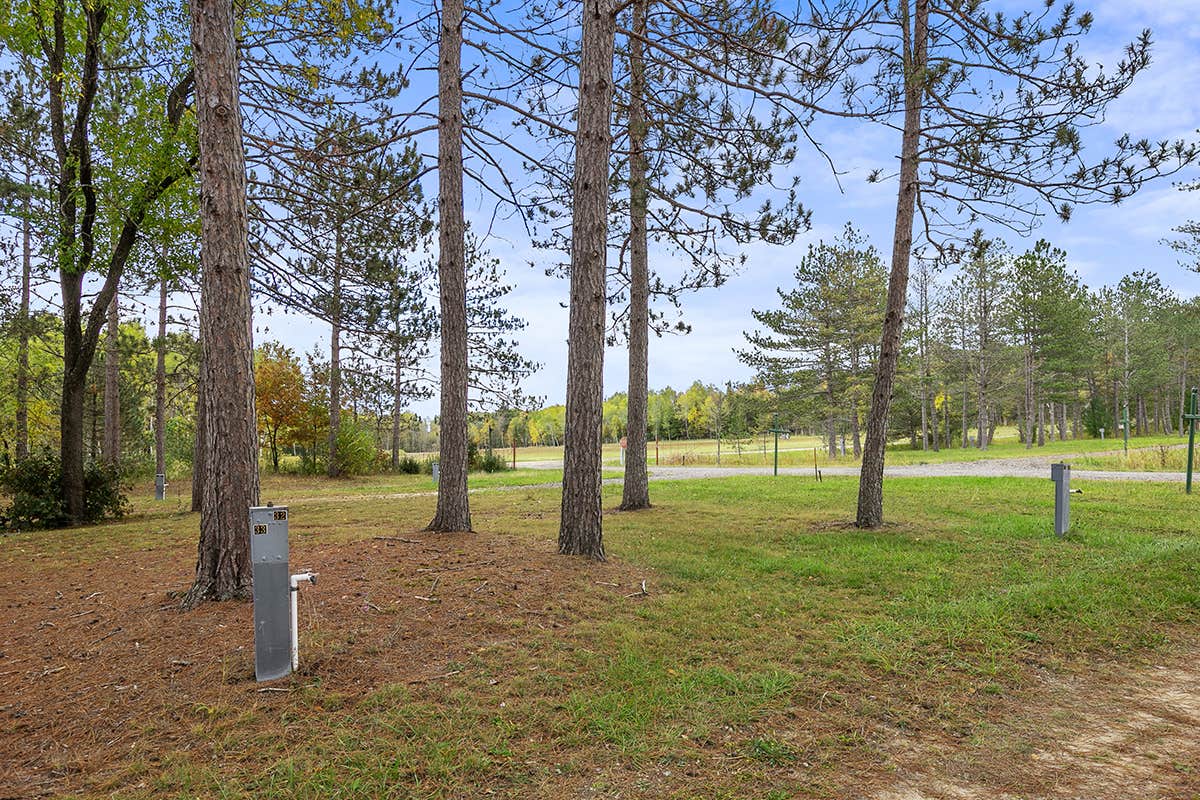 Camper-submitted photo at Manton Trails RV Park, Hotel & Campground near South Boardman, MI