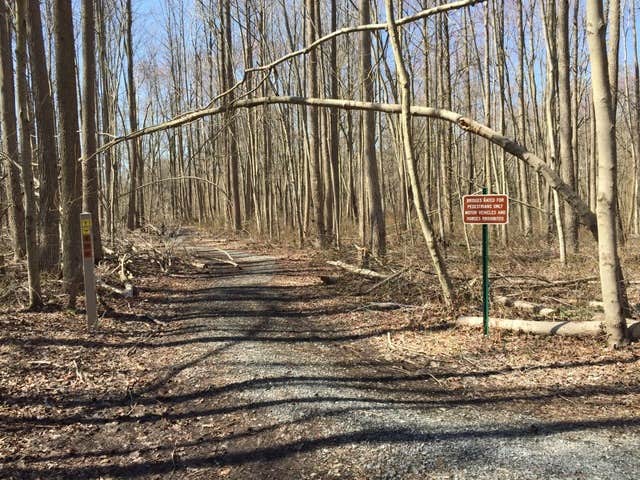 Camper-submitted photo at Lums Pond State Park Campground near Hockessin, DE