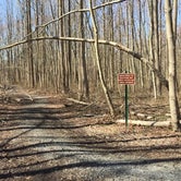 Review photo of Lums Pond State Park Campground by MickandKarla W., March 24, 2021