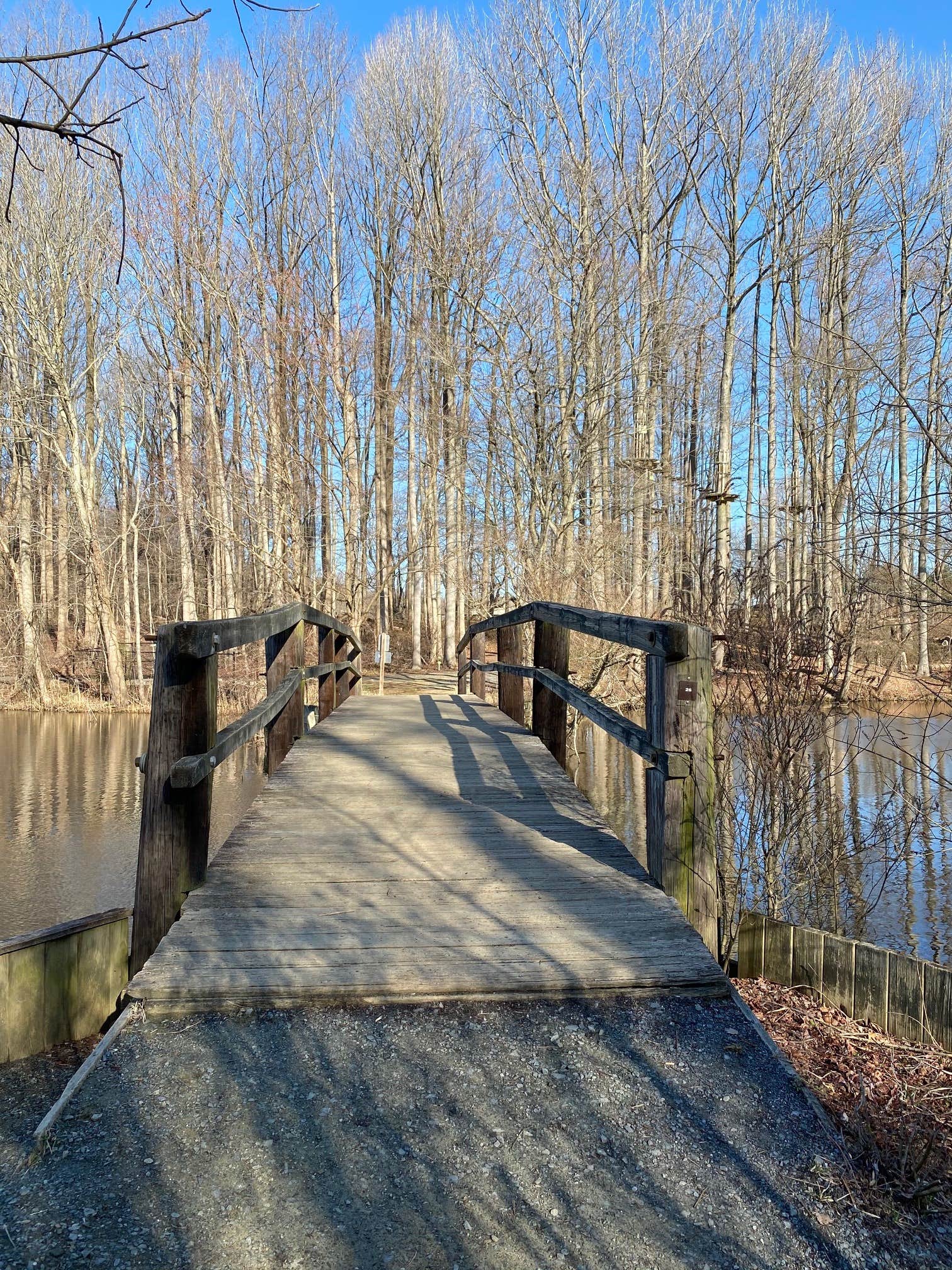 Camper-submitted photo at Lums Pond State Park Campground near Hockessin, DE