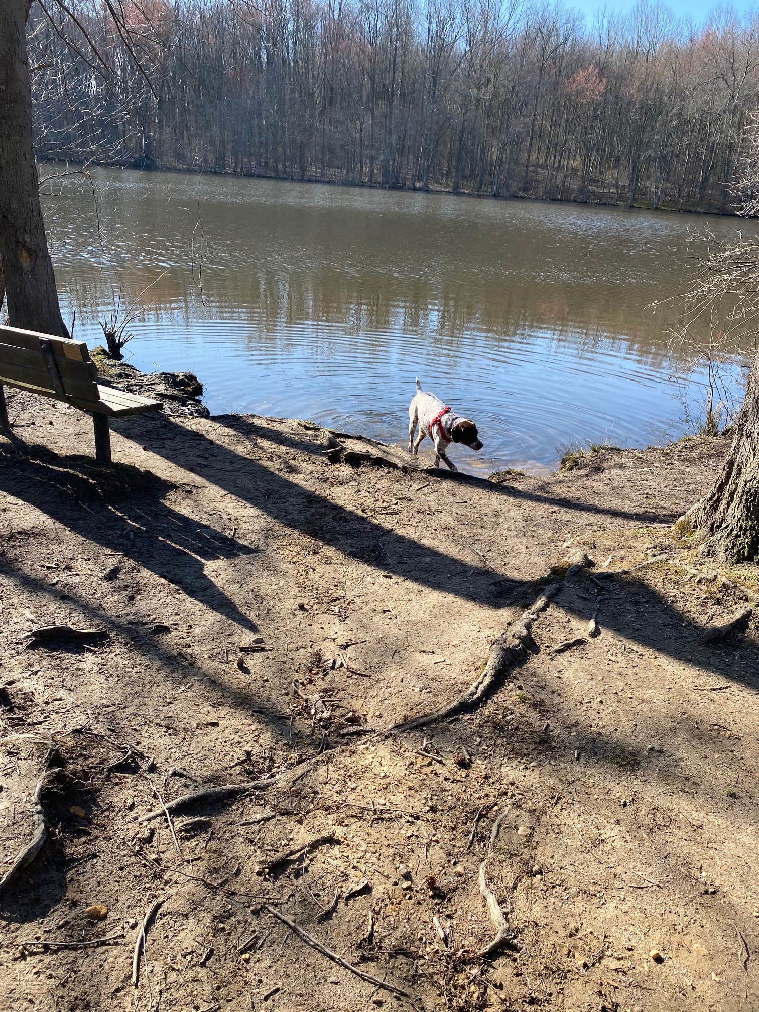 Lums Pond State Park Campground