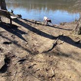 Review photo of Lums Pond State Park Campground by MickandKarla W., March 24, 2021