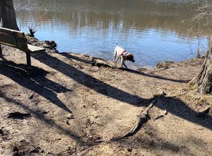 Lums Pond State Park Campground