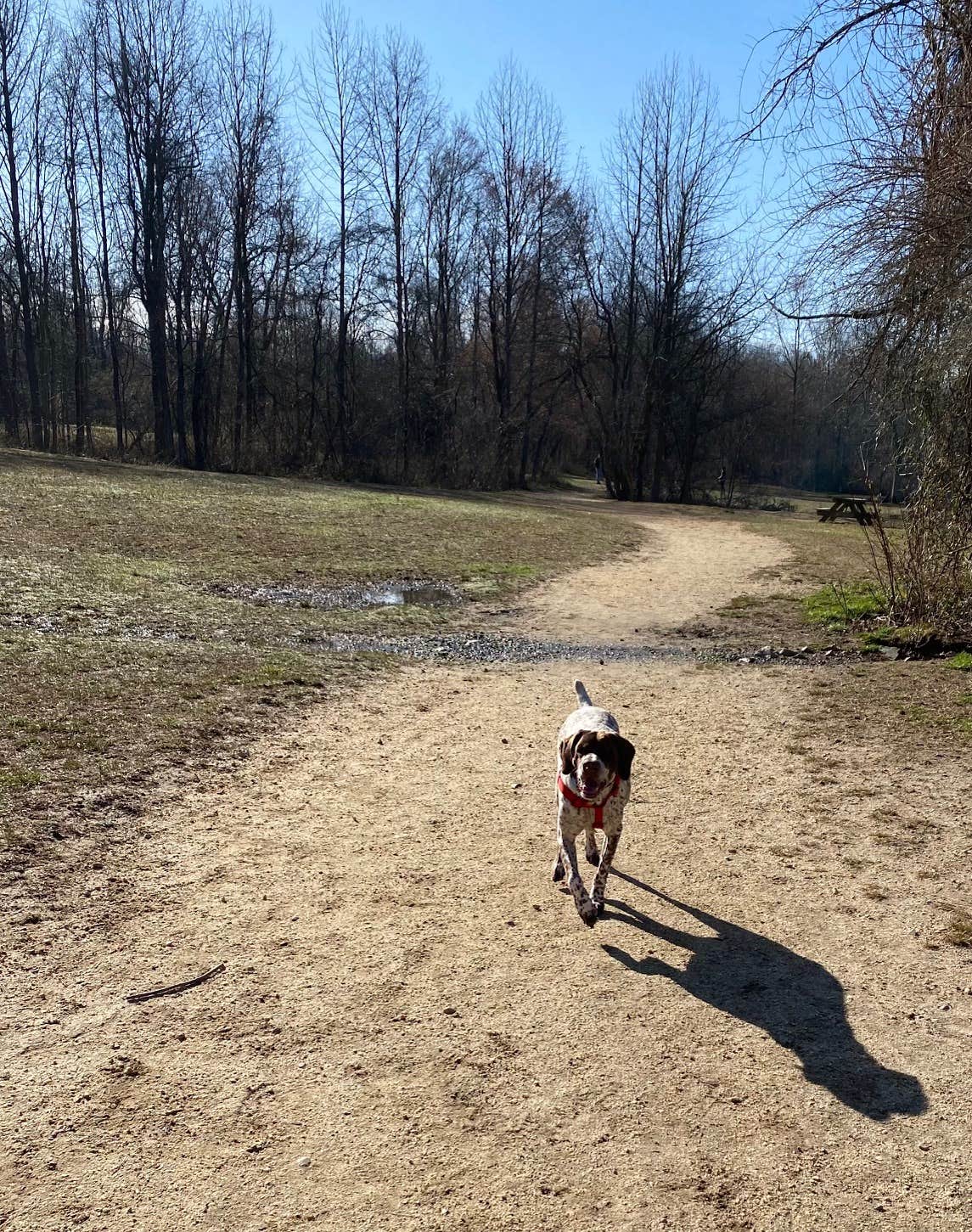 MickandKarla W.'s photo of camping with pets at Lums Pond State Park Campground near Wilmington, DE