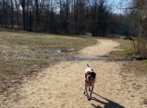 Lums Pond State Park Campground