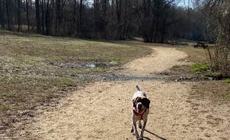 MickandKarla W.'s photo of camping with pets at Lums Pond State Park Campground near Newark, DE