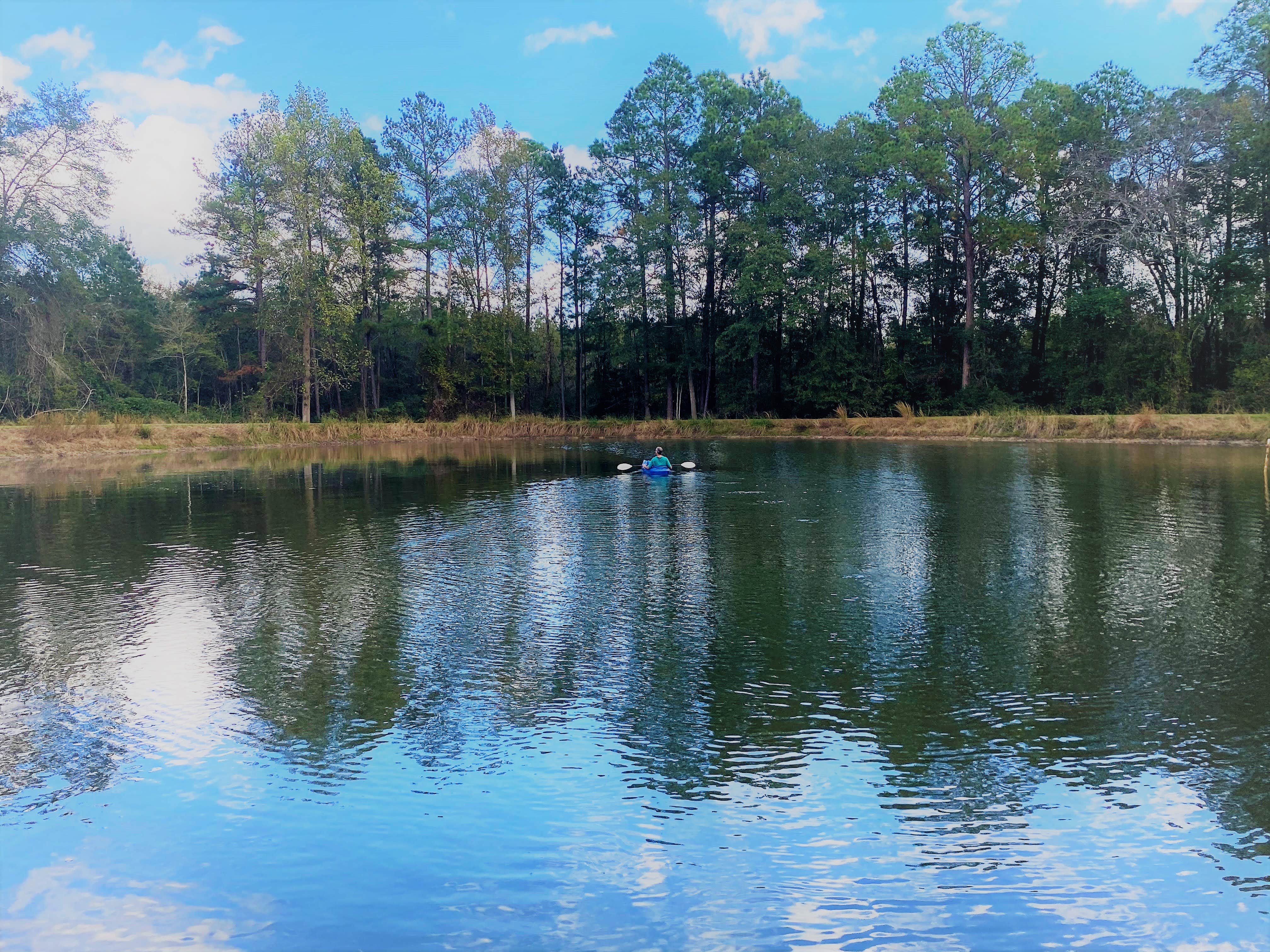 Camper-submitted photo at Bliss Hills Farm near Twin City, GA
