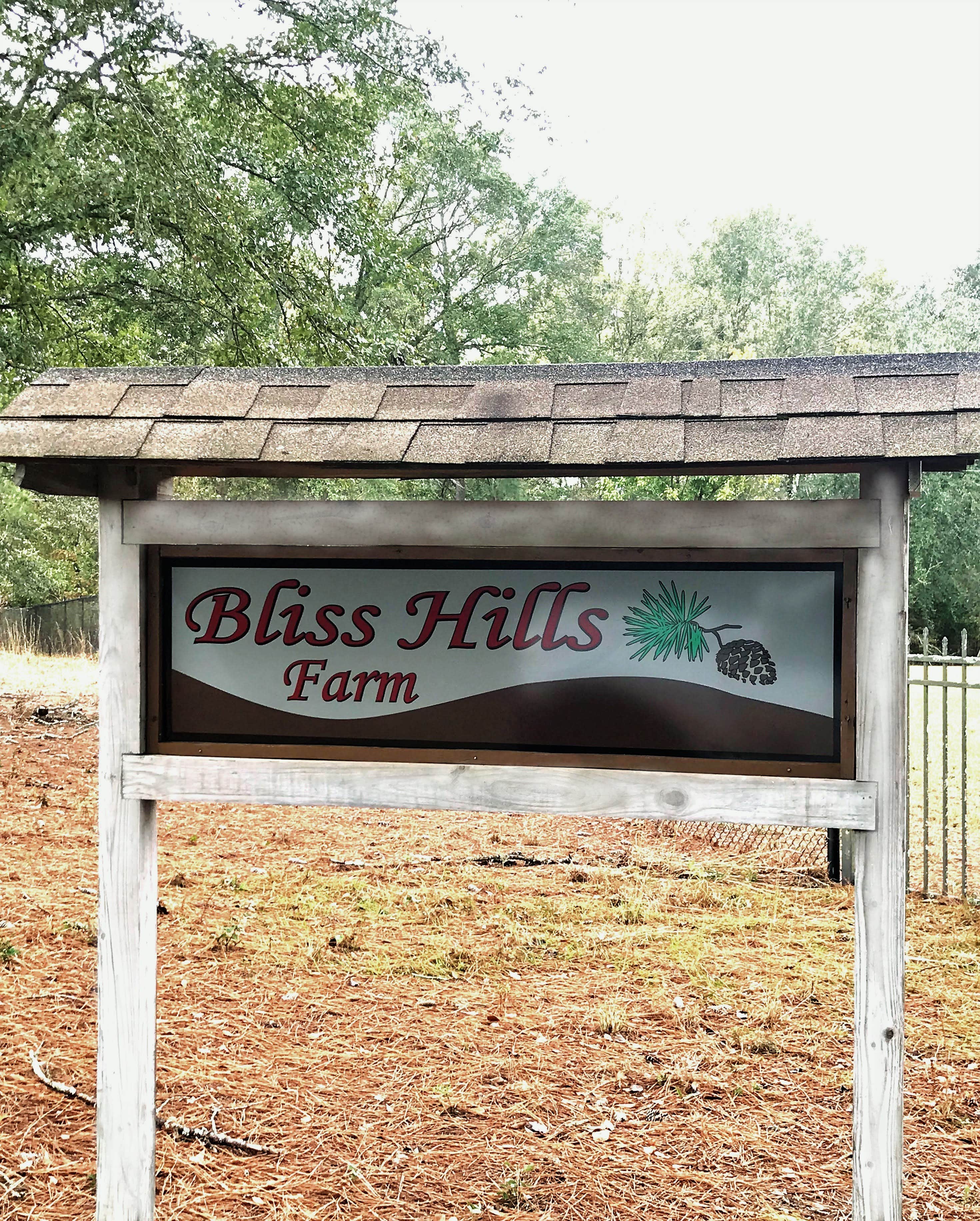 Camper-submitted photo at Bliss Hills Farm near Twin City, GA