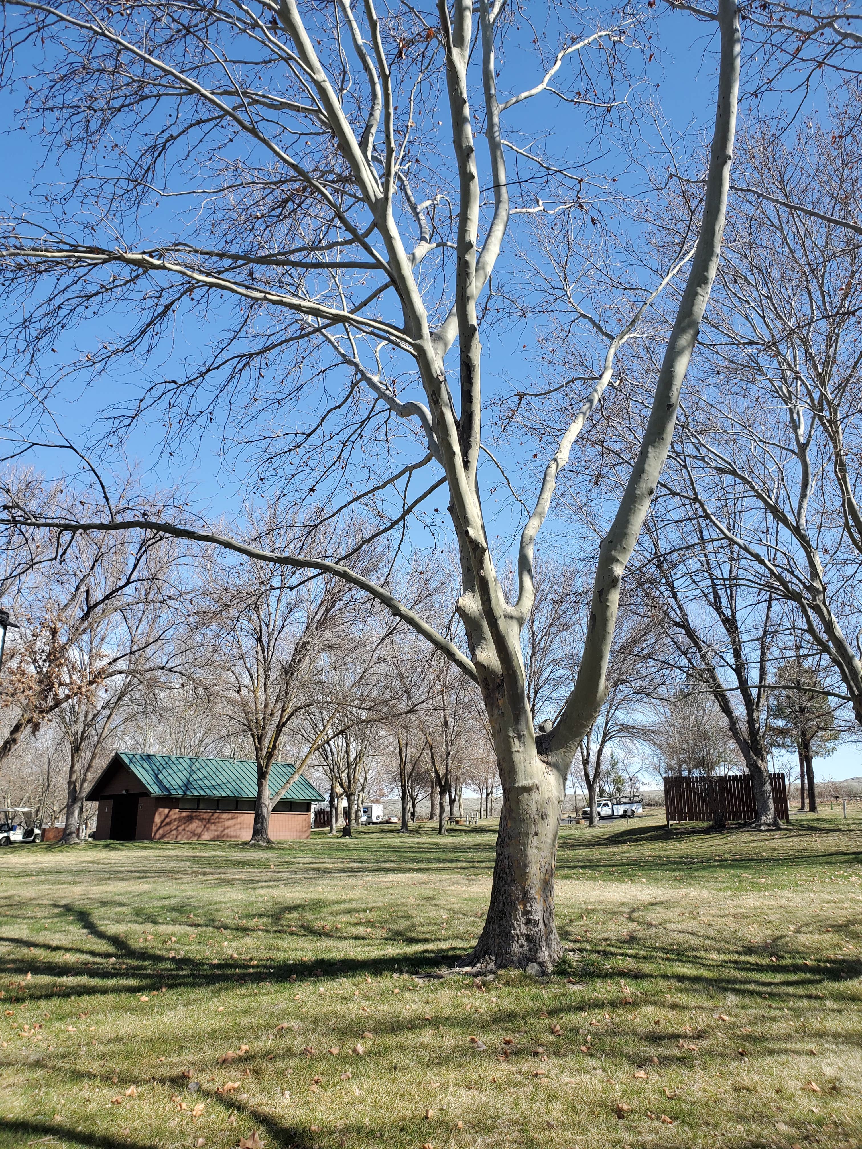 Camping near Threemile Canyon Park: Crowe Butte Campground, Boardman, Washington
