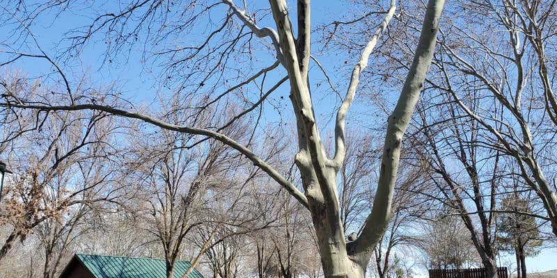 Camper submitted image from Crowe Butte Campground