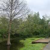 Review photo of Bayou Segnette State Park Campground by Terrell B., March 25, 2021