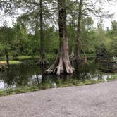 Review photo of Bayou Segnette State Park Campground by Terrell B., March 25, 2021