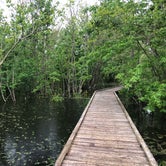 Review photo of Bayou Segnette State Park Campground by Terrell B., March 25, 2021