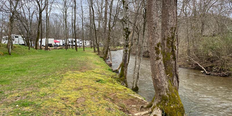 Camper submitted image from Up the Creek RV Camp