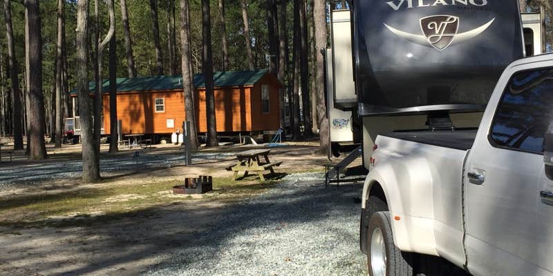 Camper submitted image from Tall Pines / Chesapeake Bay KOA Holiday