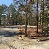 Review photo of COE John H Kerr Reservoir North Bend Park by MickandKarla W., March 25, 2021