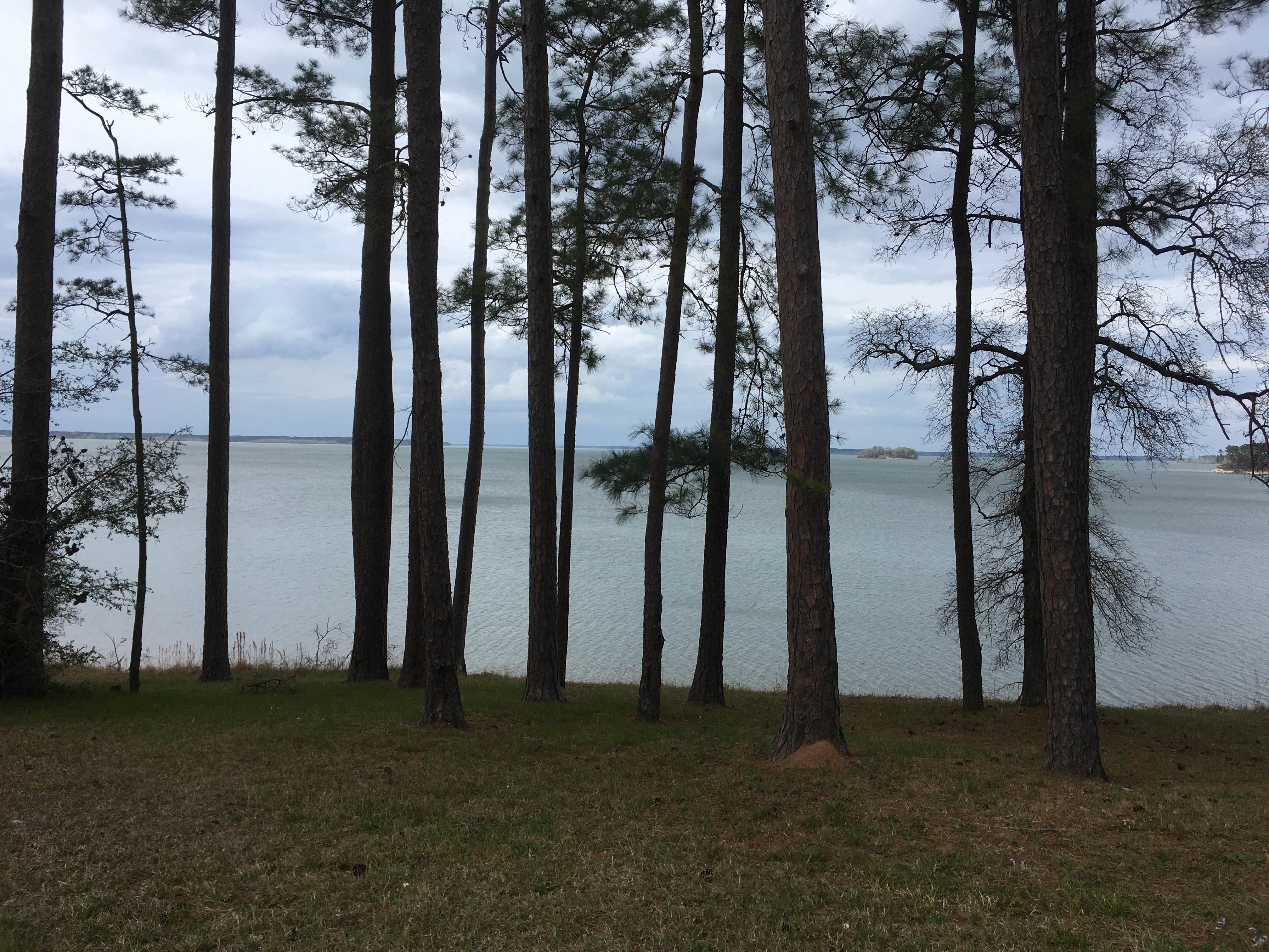 Camper-submitted photo at COE Sam Rayburn Reservoir Twin Dikes Park near Pineland, TX