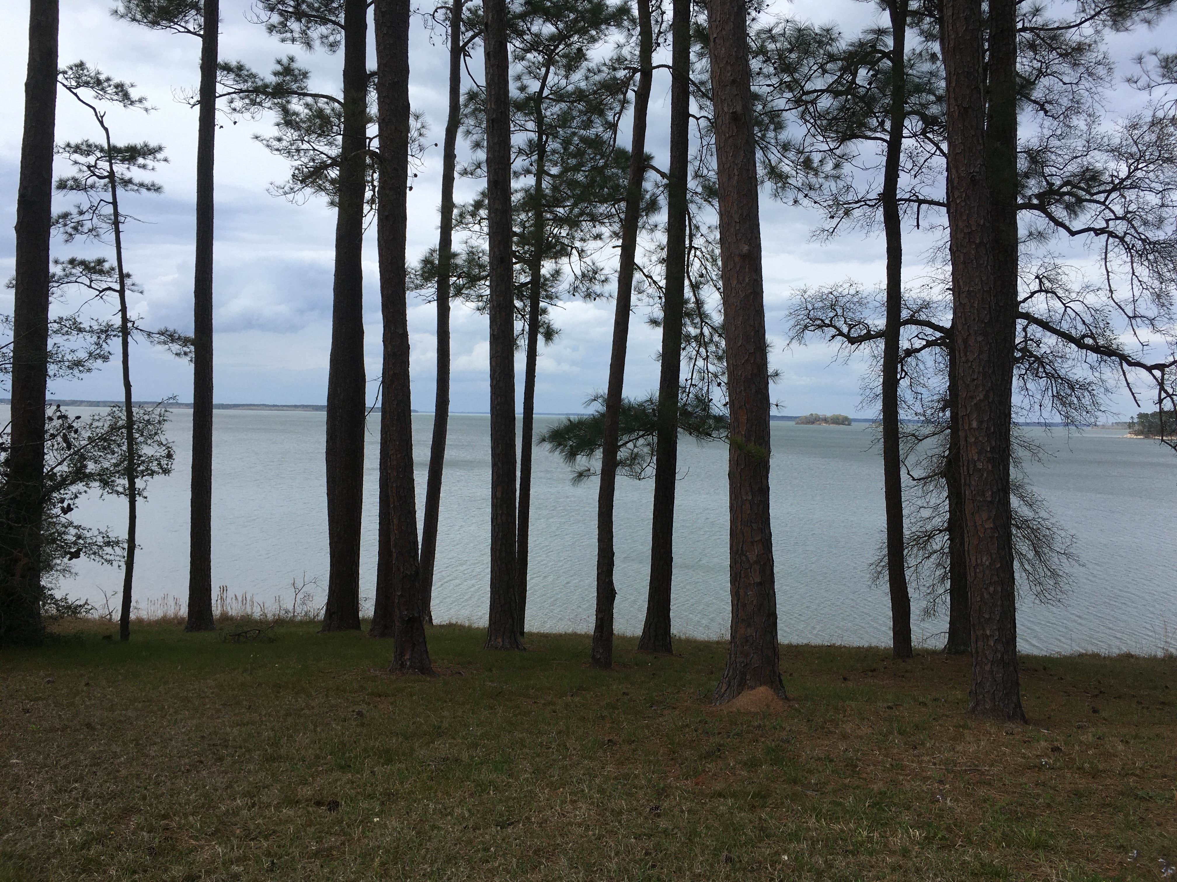 Camper submitted image from COE Sam Rayburn Reservoir Twin Dikes Park - 4
