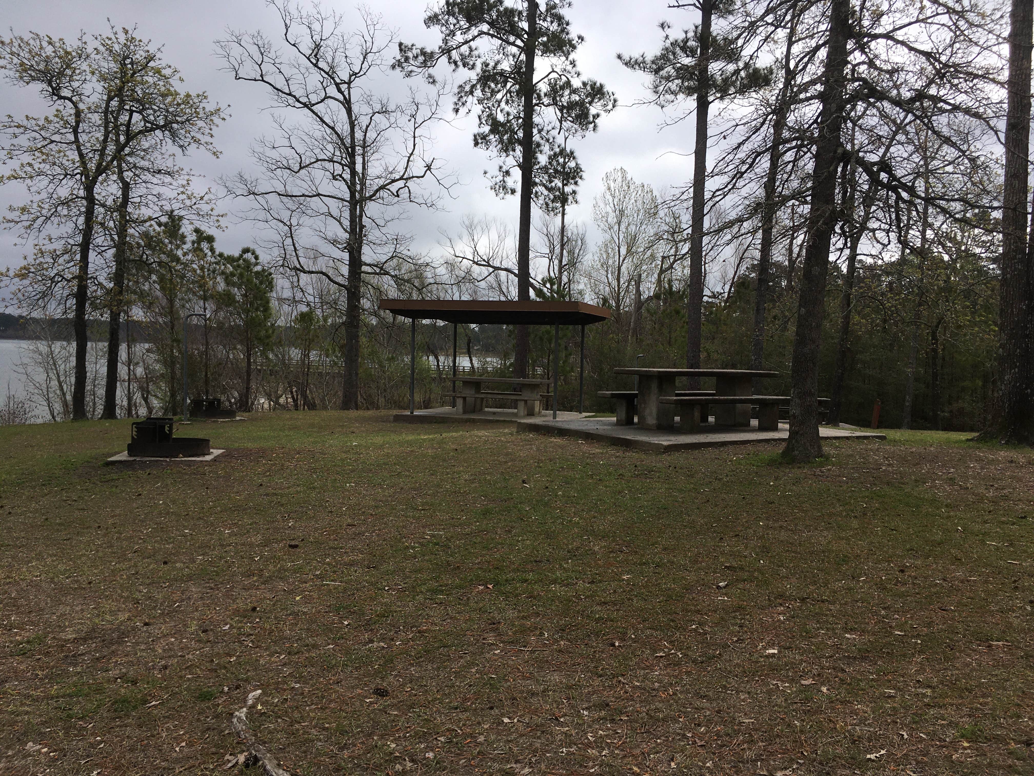Camper submitted image from COE Sam Rayburn Reservoir Twin Dikes Park - 3