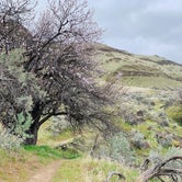 Review photo of Deschutes River State Recreation Area by Emma A., March 25, 2021