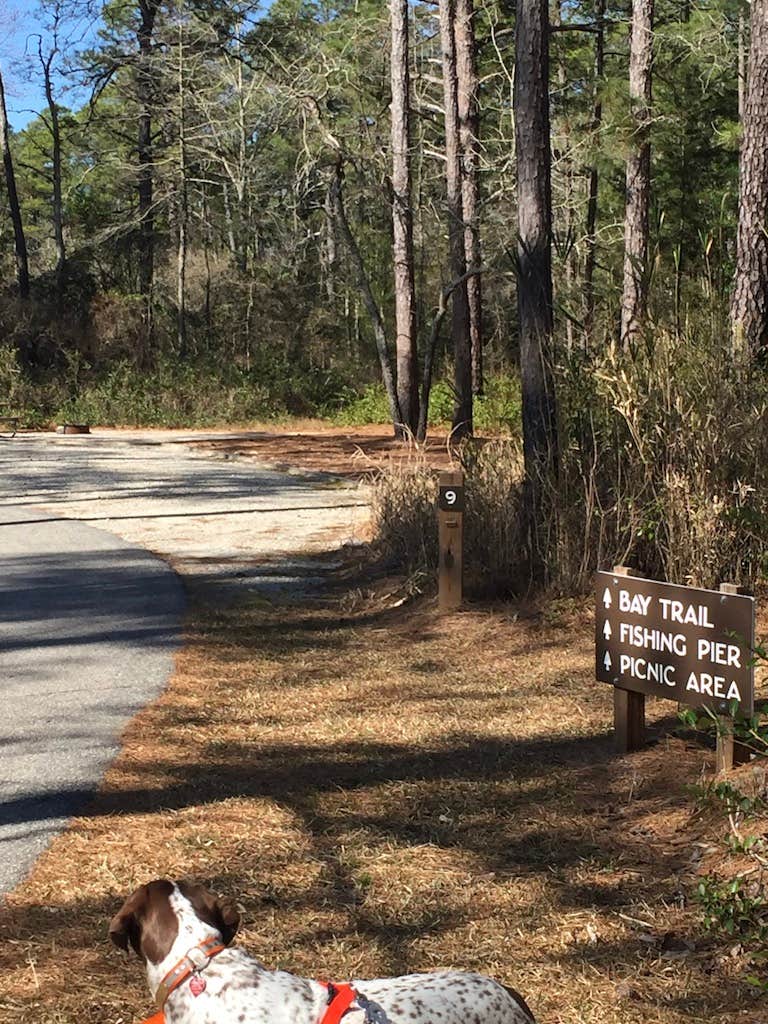 Camper submitted image from Jones Lake State Park Campground - 3