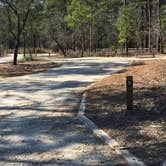 Review photo of Jones Lake State Park Campground by MickandKarla W., March 25, 2021