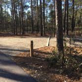 Review photo of Jones Lake State Park Campground by MickandKarla W., March 25, 2021