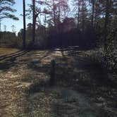 Review photo of Jones Lake State Park Campground by MickandKarla W., March 25, 2021