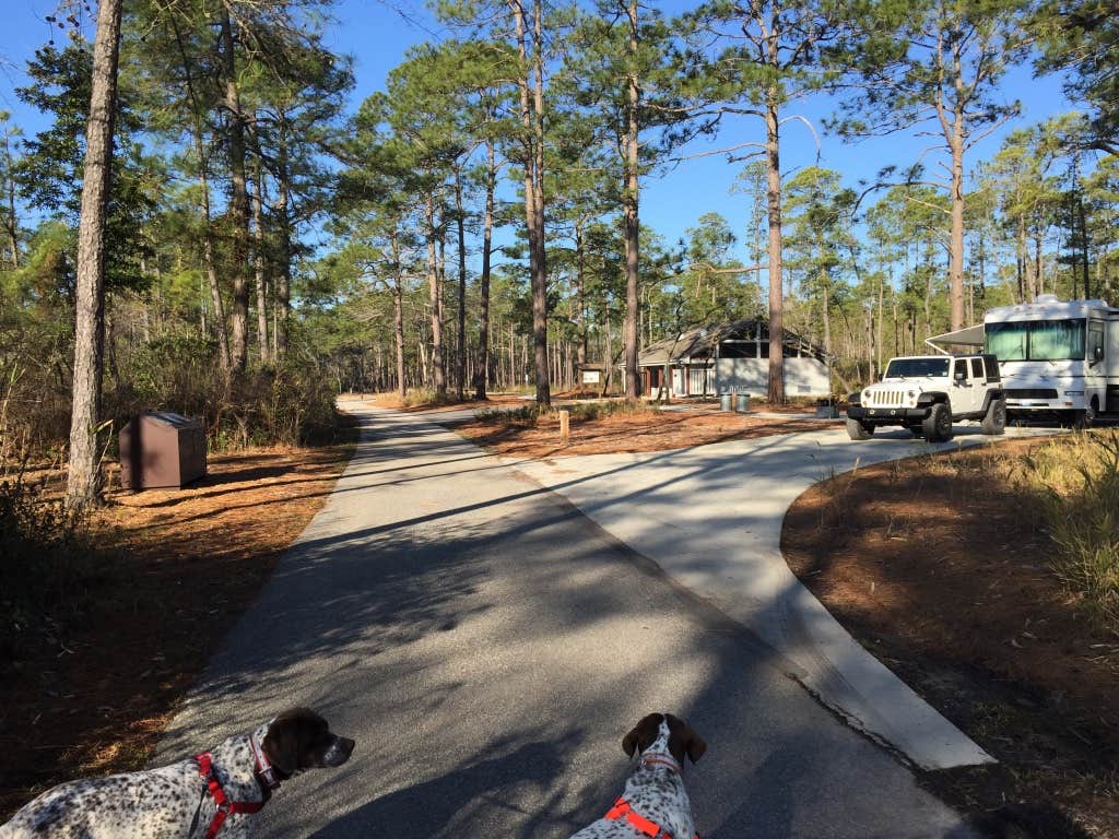 MickandKarla W.'s photo of camping with pets at Jones Lake State Park Campground near Spring Lake, NC